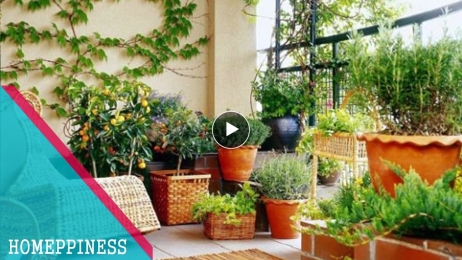 MUST WATCH !!! 30+ Cheap Small Balcony Garden Ideas With Vegetables & Flowers