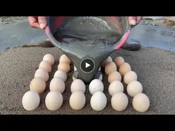 Crazy Cement ideas - Cement Craft Tips with Chicken Eggs - Garden Decoration ideas - DIY Aquarium