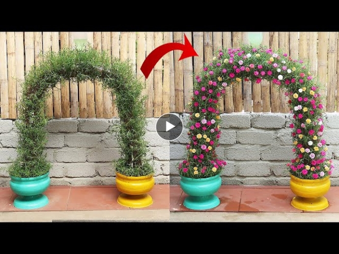Beautiful flower gate garden ideas from plastic bottles