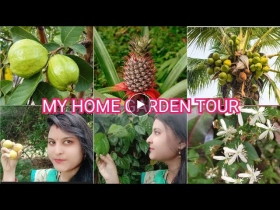 MY HOME GARDEN TOUR \Fruits ,Flowers ,Vegetables at Home\ Indoor plants | Beautiful garden