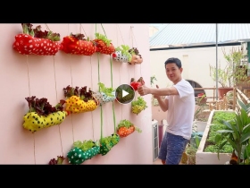 Clever Plastic Bottle Vertical Garden Ideas, Gardening Ideas for home