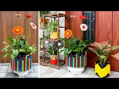 Beautiful plant pots make the garden more vibrant, turning plastic waste into plant pots