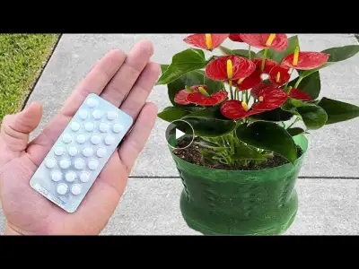 JUST 1 TABLET makes you EXPLODE with so many FLOWERS (See the incredible result)