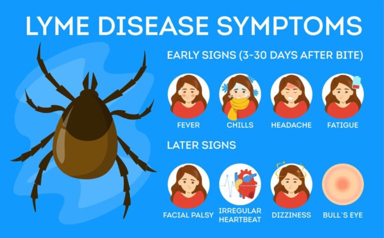 The Costs of Lyme Disease: Diagnosis and Treatment